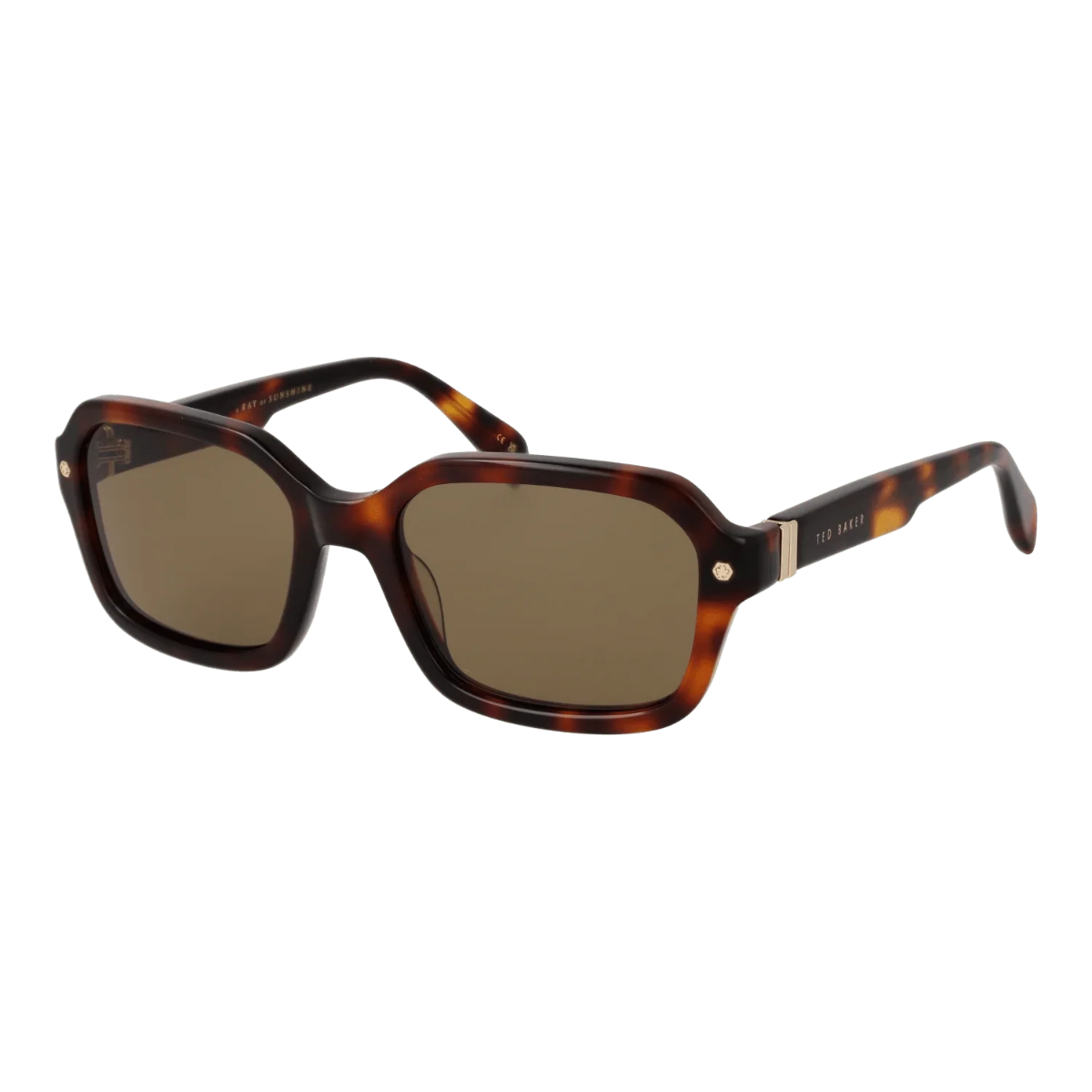 Ted Baker TB1697 101 Brown Tortoise Sunglasses