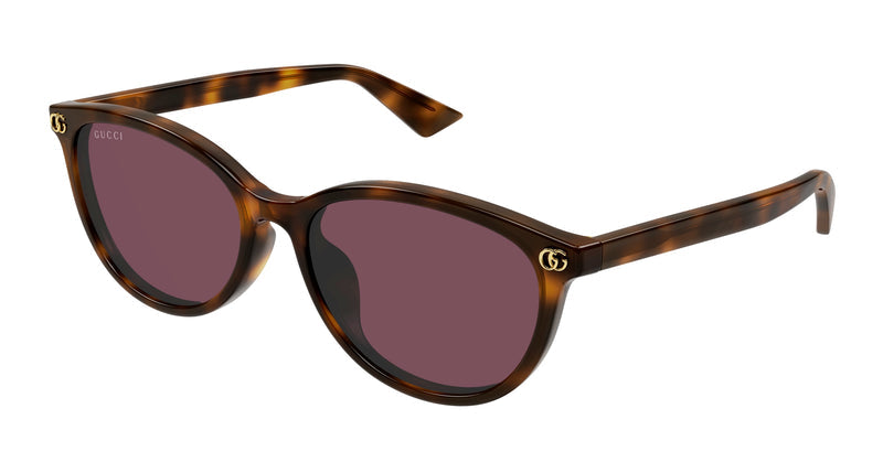 Gucci GG1818SK 002 Havana Sunglasses - Brown / Tortoise frame, Violet lens