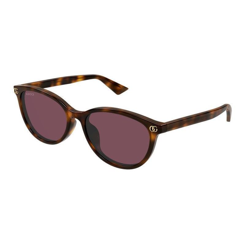 Gucci GG1818SK 002 Havana Sunglasses - Brown / Tortoise frame, Violet lens
