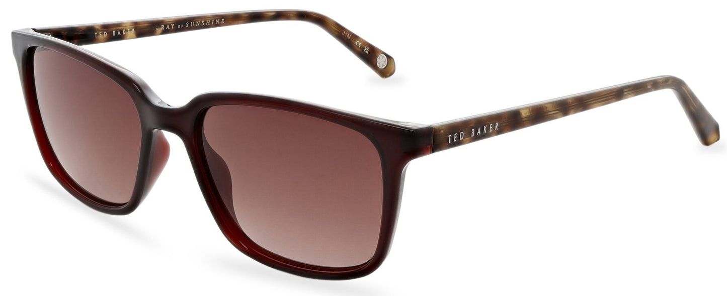 Ted Baker TB1529 249 Tortoise Sunglasses - Brown / Tortoise frame, Gradient Brown Lens