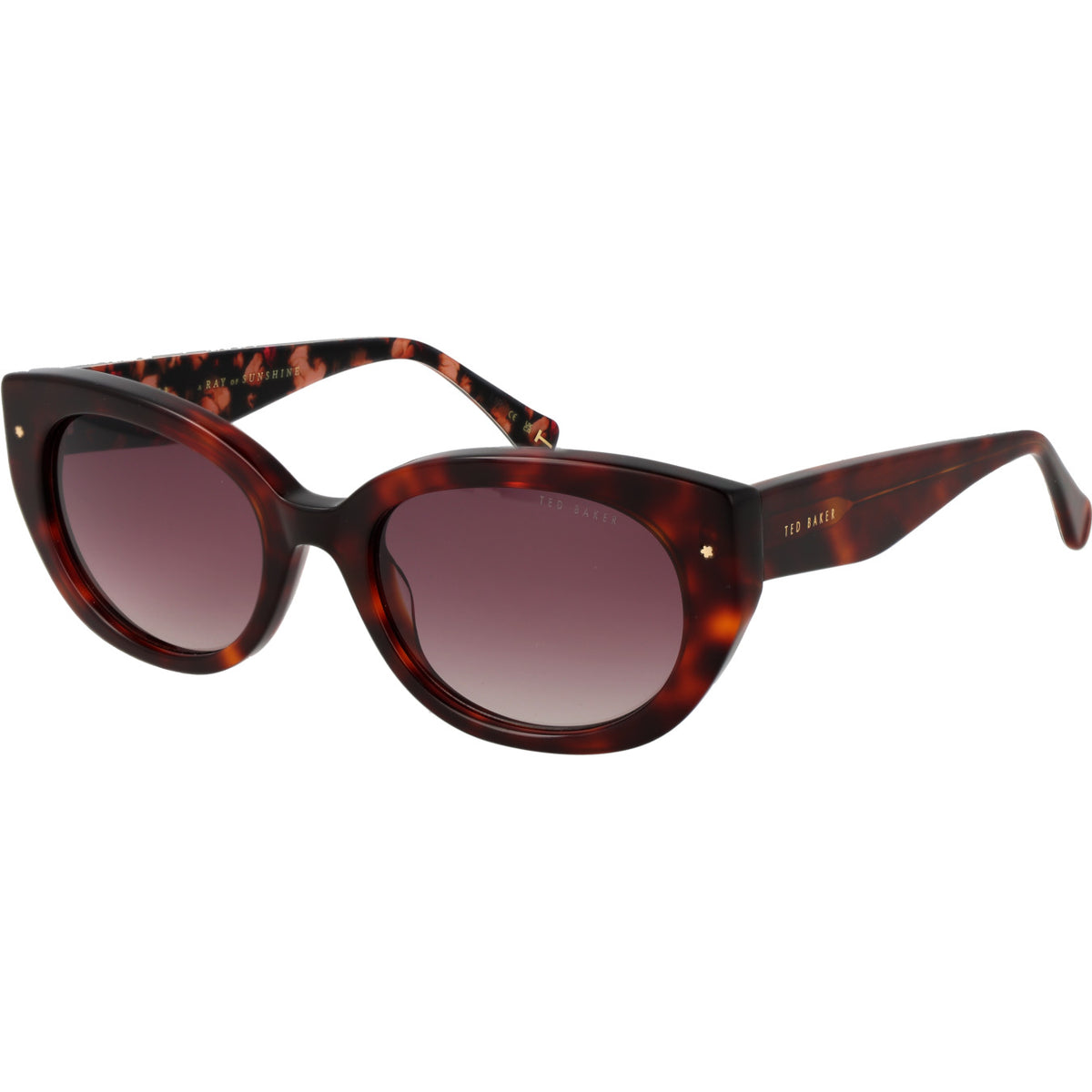 Ted Baker TB1737 100 Tortoise Sunglasses